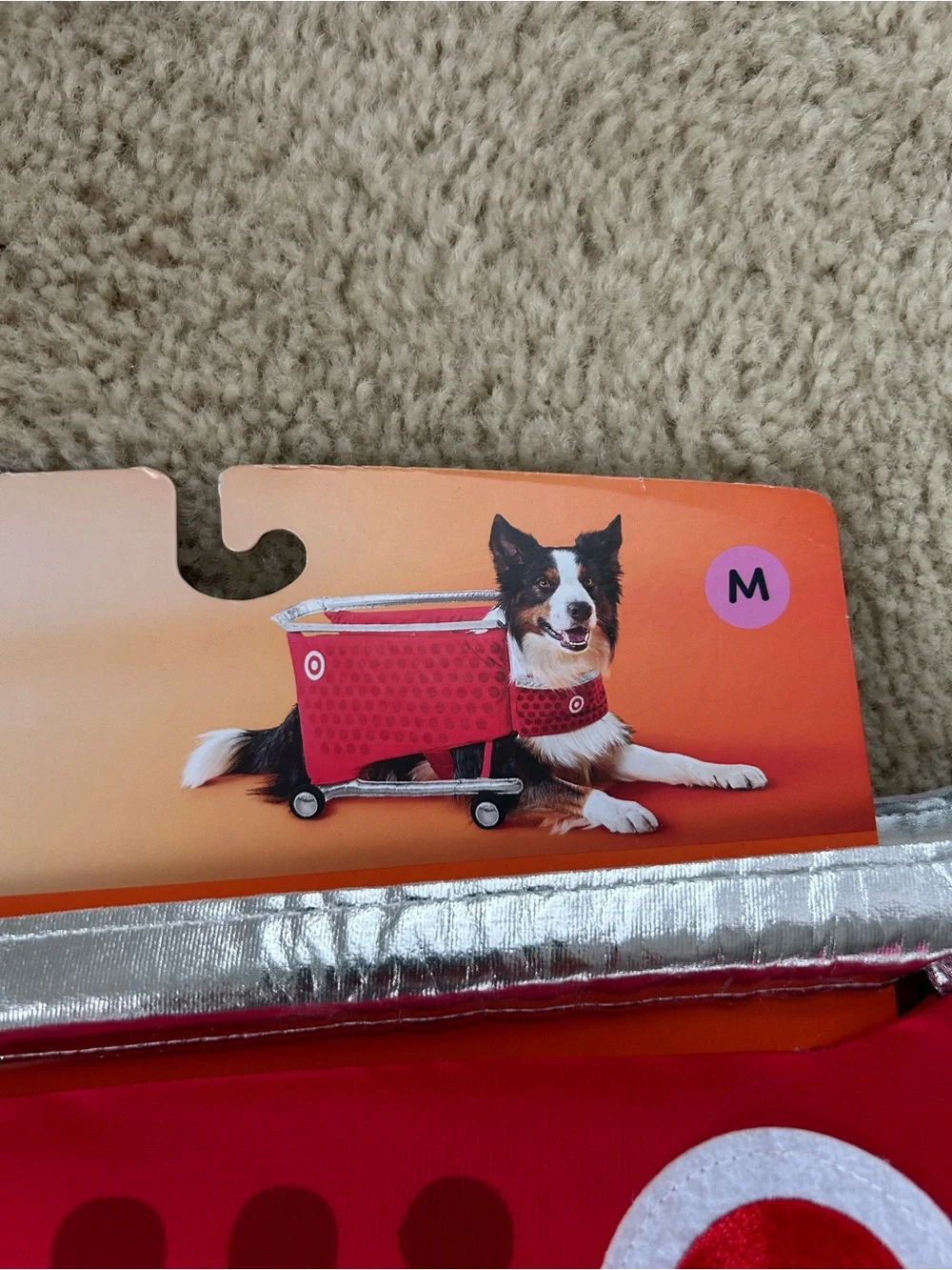 Target shopping cart costume medium